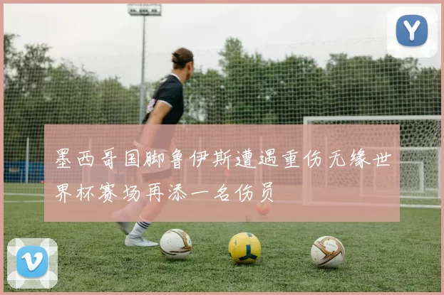 墨西哥国脚鲁伊斯遭遇重伤无缘世界杯赛场再添一名伤员